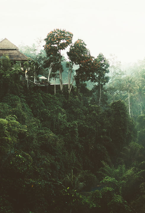 Forest Home