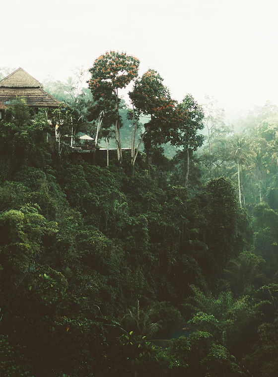 Forest Home