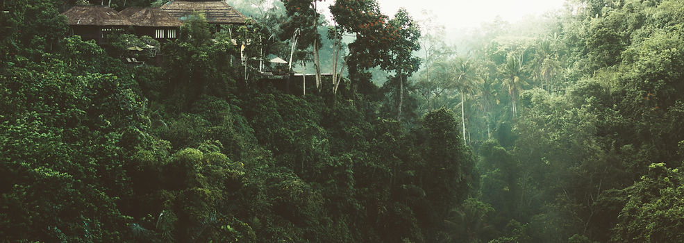 Forest Home