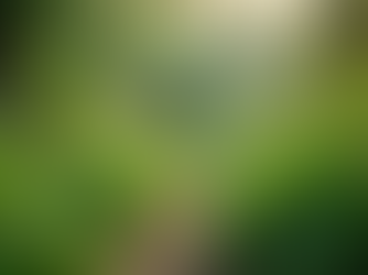 The Importance of Sustainable Living in Today's World