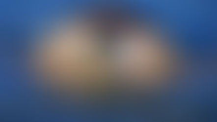 Loggerhead: The Bulldog of the sea