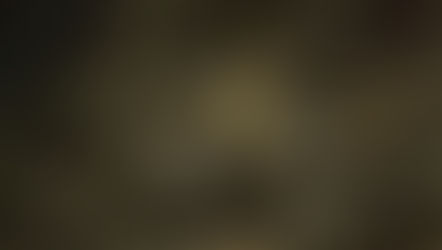 Olive Ridley: The Dancing Turtle