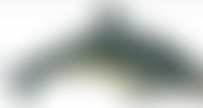 The Vanishing Vaquitas