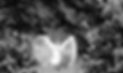 It%20was%20the%20perfect%20day%20for%20being%20an%20angel.._edited.jpg