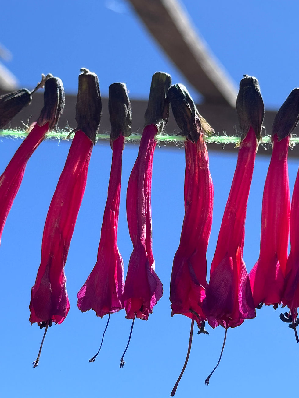 Taquile: la isla donde los hombres tejen y el lago cambia de color