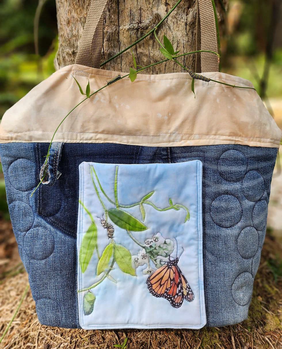 Monarch LifeCycle pocket with real Monarch caterpillars on Twinevine