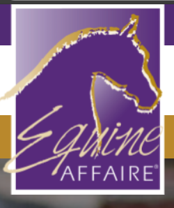 EQUINE AFFAIRE