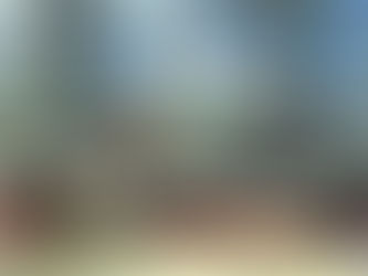 青新運動 走進社區