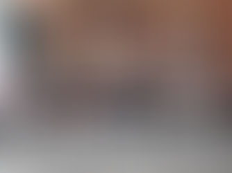 2025年2月12日【🐼熊貓駕到!150隻Panda立法會出沒】