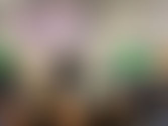 2025年3月25日【#議會議事 | 立法會幼稚園導賞團👧🏻🧒🏻】