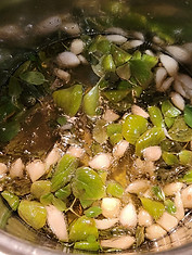 basil cooking_edited.jpg