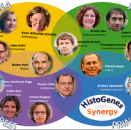 ERC Synergy Grant HistoGenes 