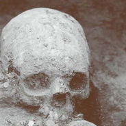 Presentation of the HistoGenes project at Central European University (CEU)