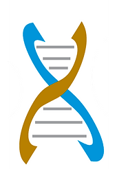 HistoGenes Logo