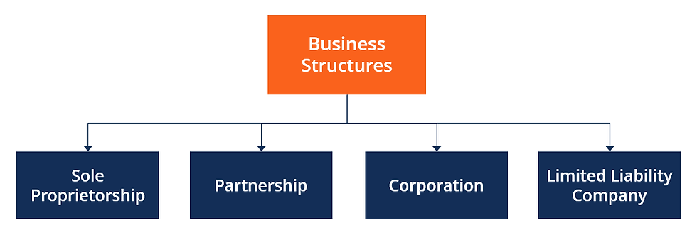 Diagram of business structures