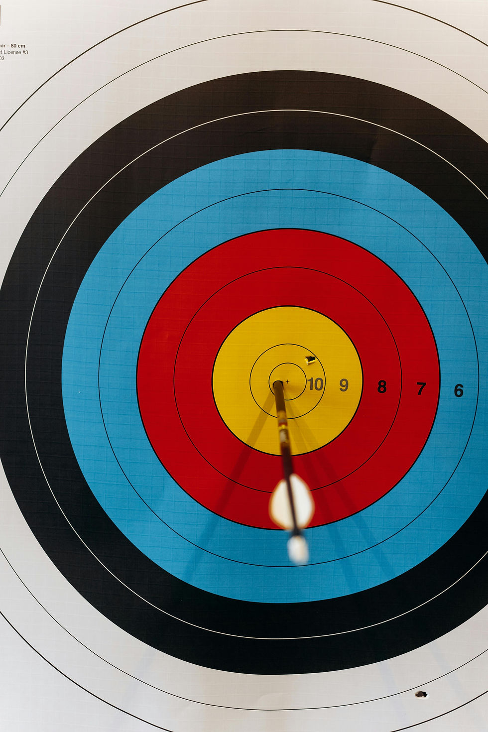 A target with an arrow in the center depicting focus on your target audience