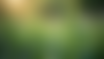 Bienfaits de la naturopathie pour votre bien-être