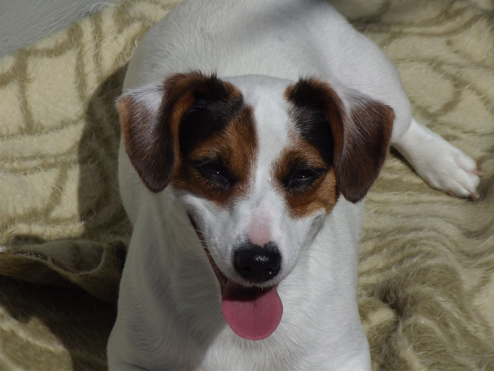 DSCF6090.JPG