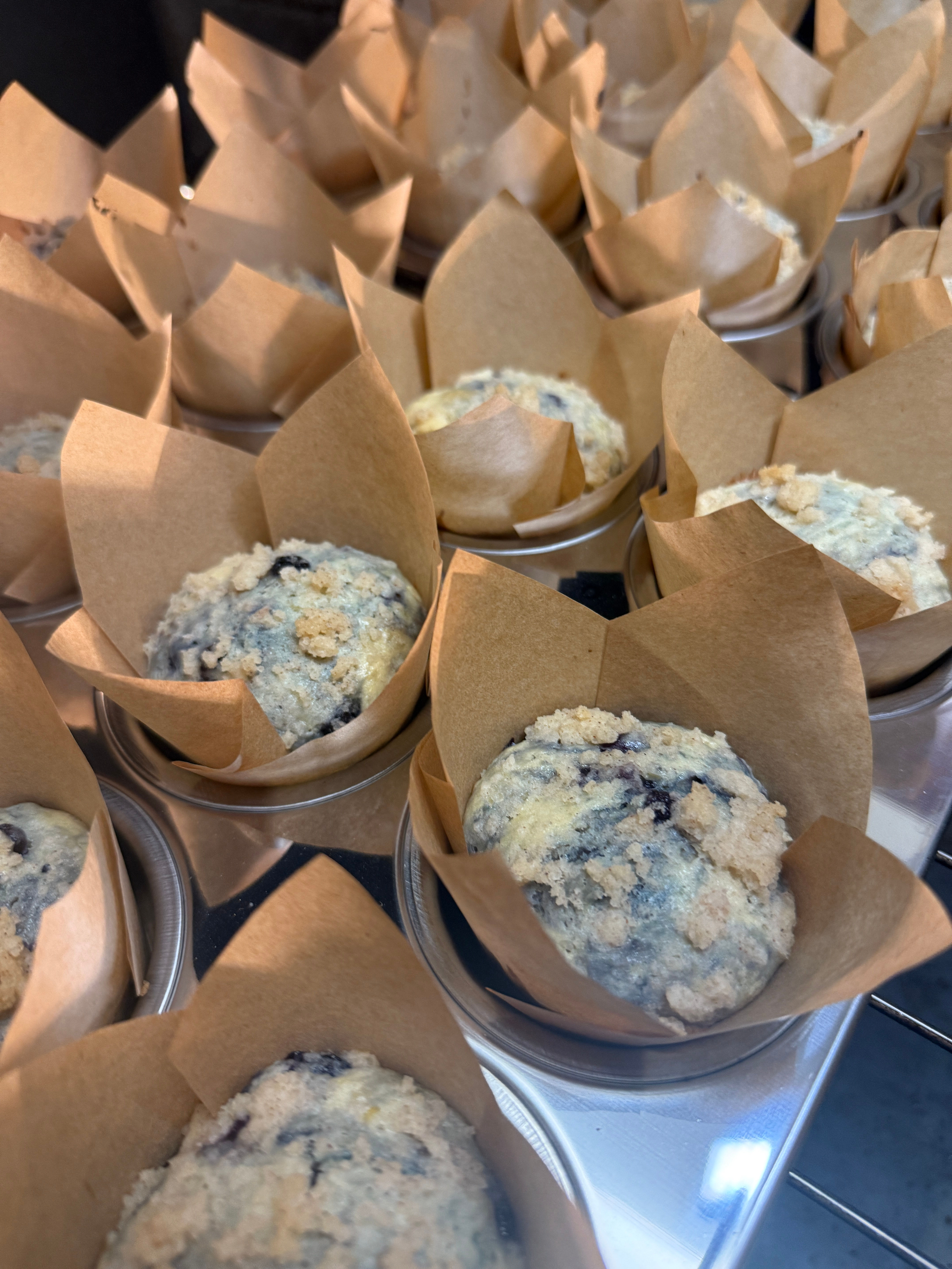 Blueberry Muffin w/streusel