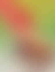 Illustrative Designs 