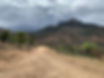 IMG_0921.JPEG
