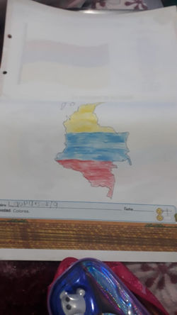 WhatsApp Image 2020-08-03 at 1.28