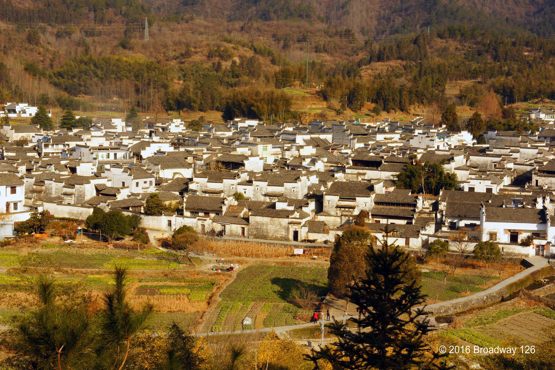 xidi