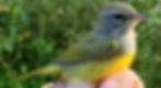 20190727_092808