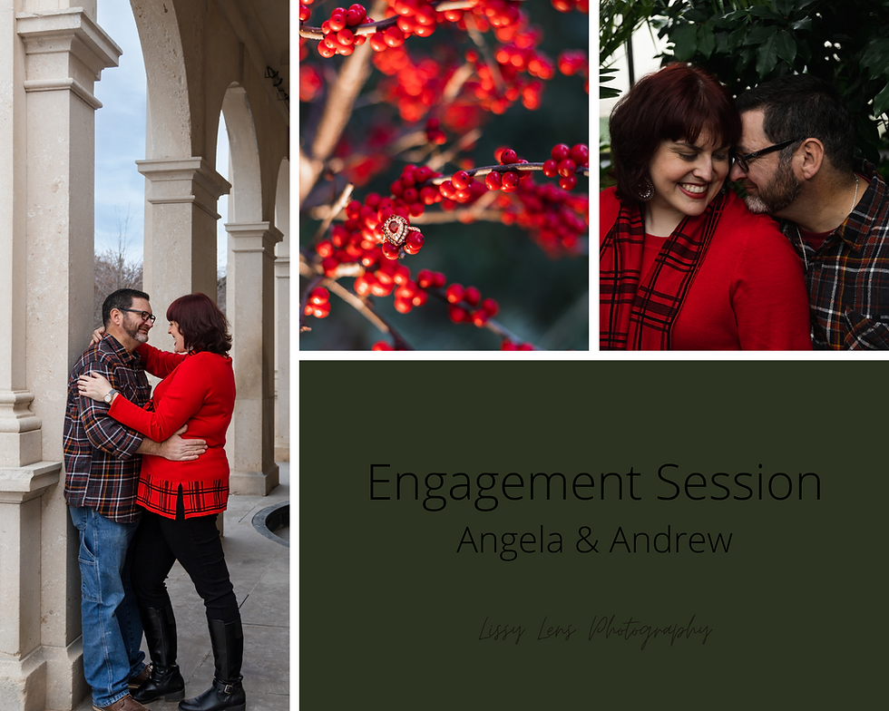 pa photographer, poconos engagement photographer, pocono weddings, northeast pa photographer, lissy lens photography, winter engagement photoshoot, longwood gardens, behind the scenes, christmas engagement session