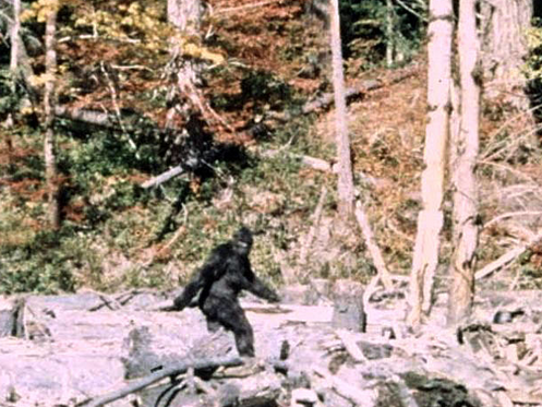 The Fandom Show: Bigfoot