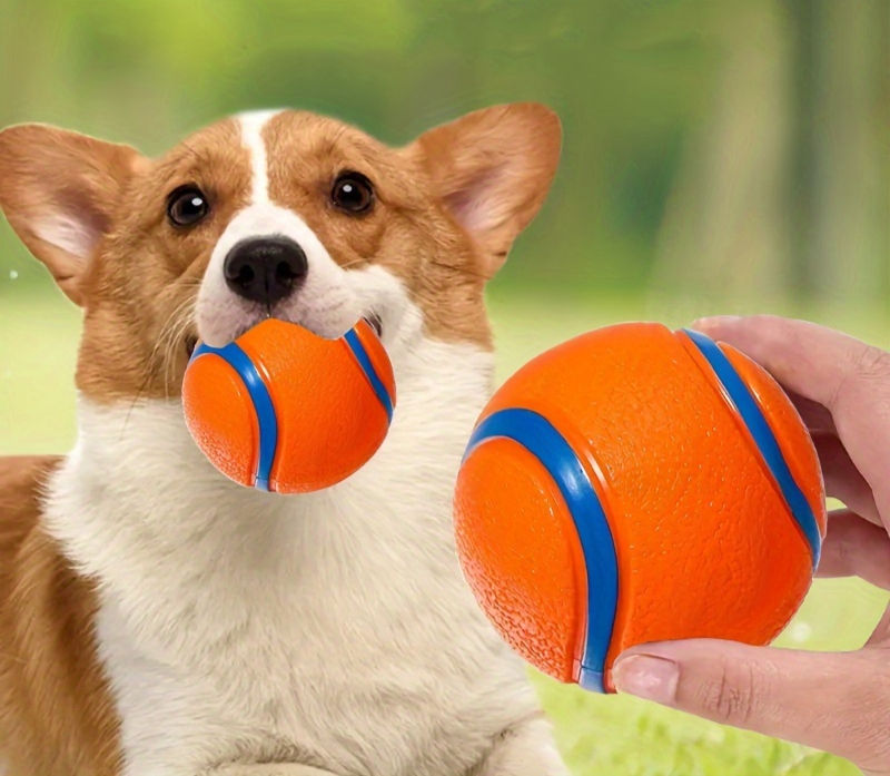 Bola Indestrutível para Cachorro – Resistente para Mordidas Fortes 🐶