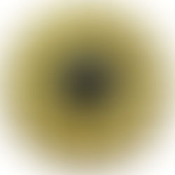 社労士とは chapter.1