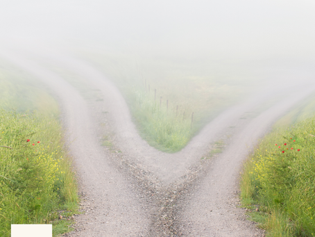 two paths diverging representing outgrowing a friendship