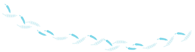 Associação (3).png