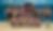 banner 1600 px (1 of 1).png