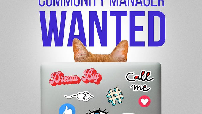 Турси се: Community Manager, The Smarts