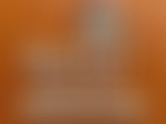 ข้อกำหนดและเงื่อนไขการใช้งาน Echo Program