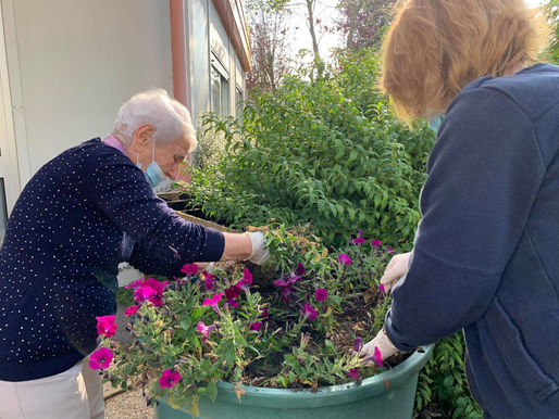 Jardinage