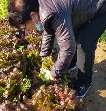 A la rencontre des producteurs locaux