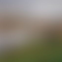 7 Types Of Art Forms Perfect For Your Next Virtual Art Exhibition!