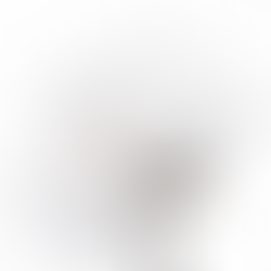 Mastering the Art of Still Life Photography: Finding Beauty in the Ordinary!