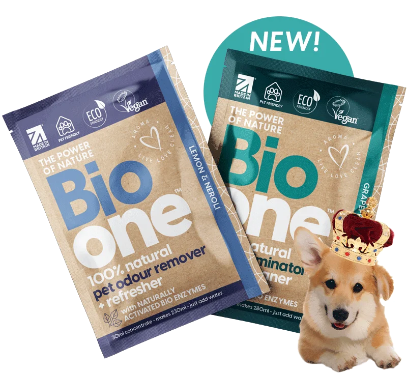 Free Bio One Air Freshner