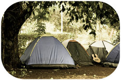 1401772_500314946742057_94299581_o