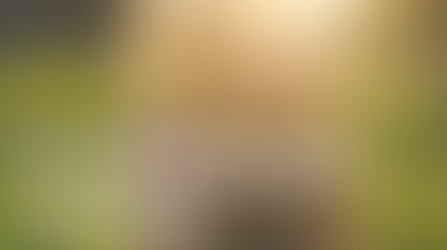 Crise Precede o NOVO.