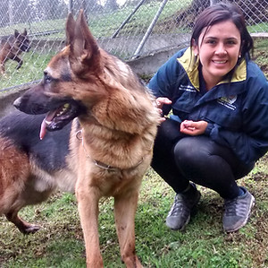 Animal Shelter