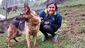 Animal Shelter