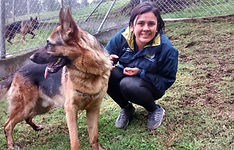 Animal Shelter