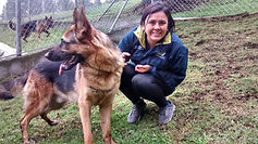 Animal Shelter