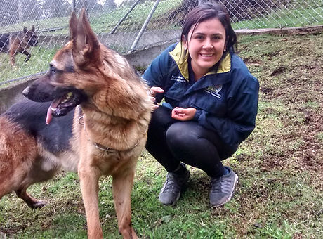 Animal-Shelters