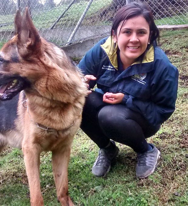 Animal-Shelters